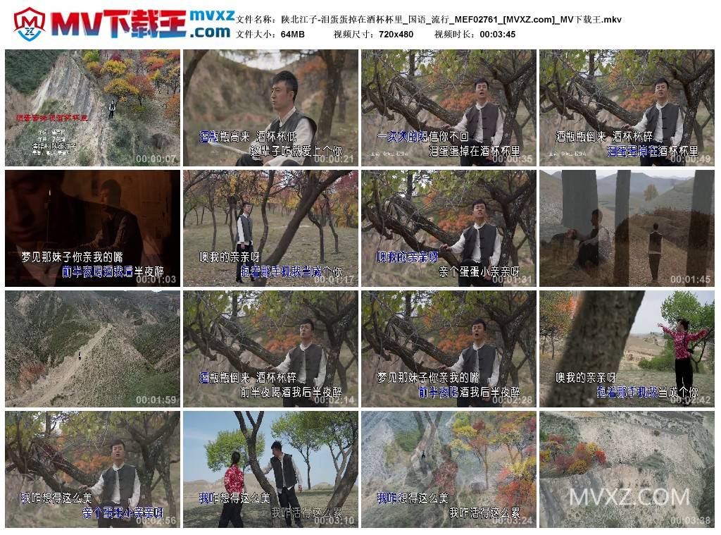 陕北江子-泪蛋蛋掉在酒杯杯里_国语_流行_MEF02761